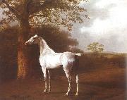 Jacques-Laurent Agasse White Horse in Pasture oil painting reproduction